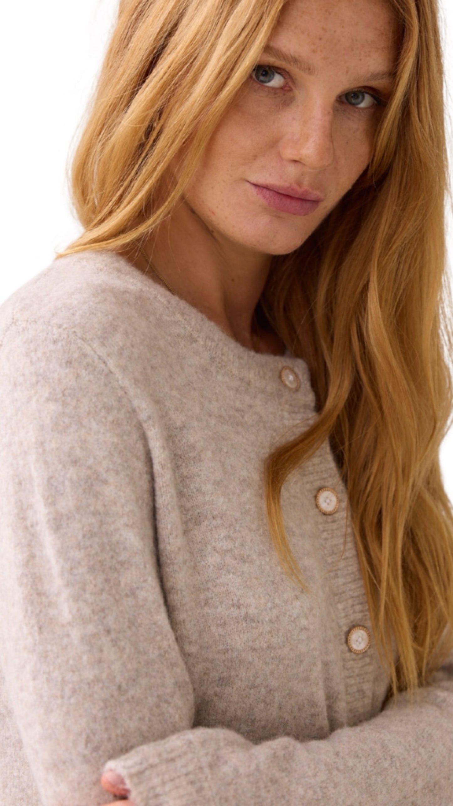 Cardigan wool
